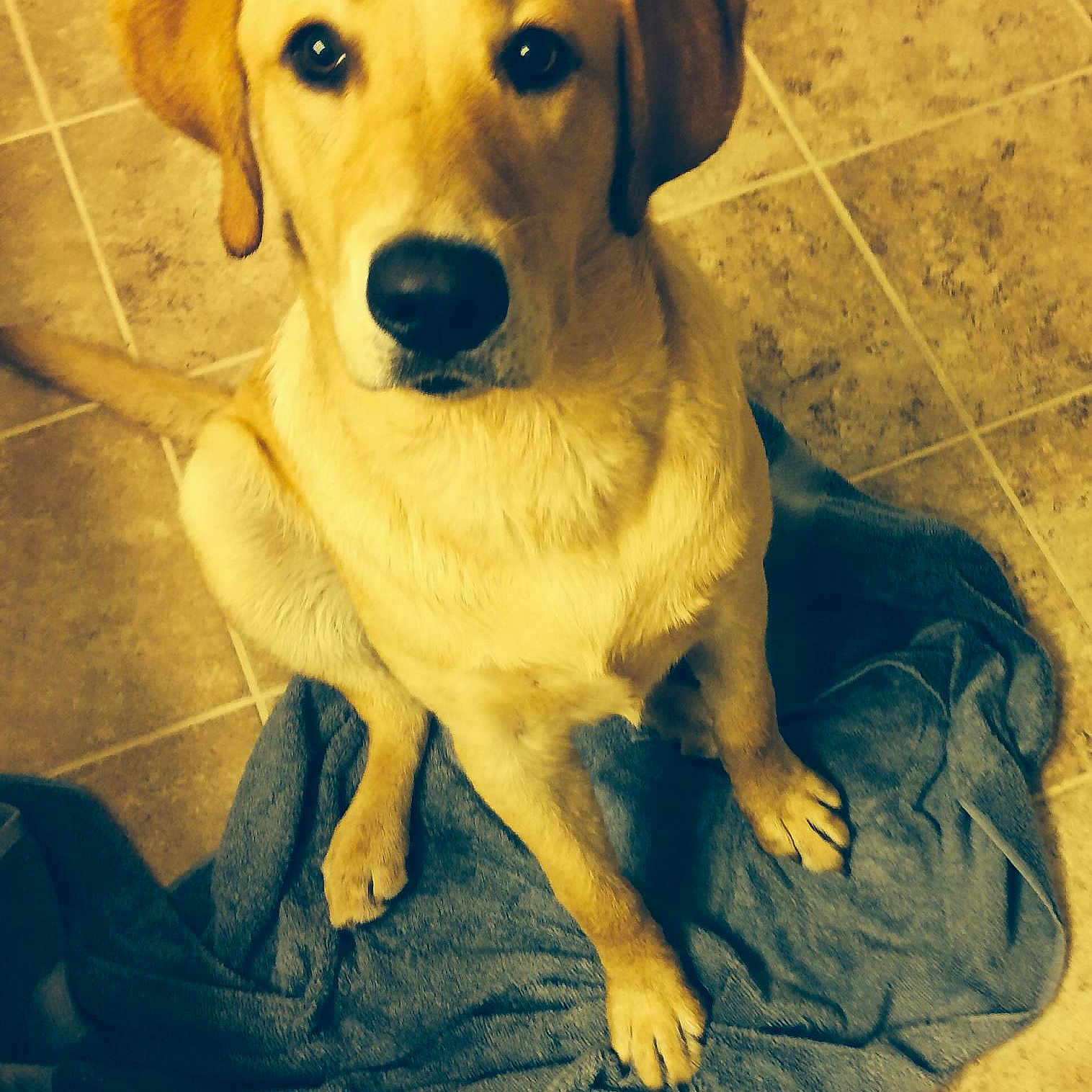 Duke joined the competition — help win amazing prizes!