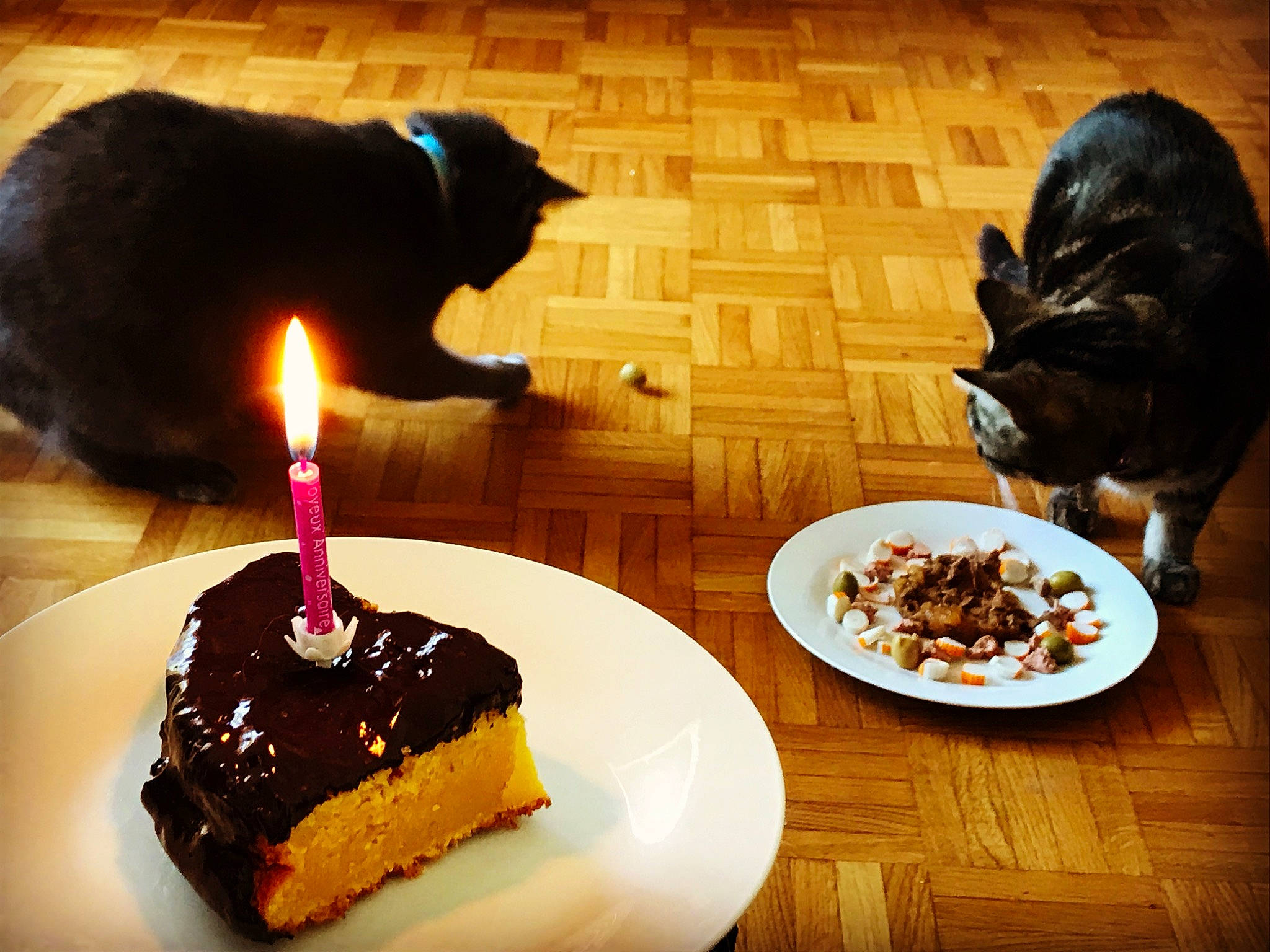 Mickey&amp;minnie participe au concours pour gagner de l'argent avec cette photo : baked_goods, birthday_cake, birthday_candle, cake, cake_decorating, candle, cat, cuisine, dessert, dish, dishware, event, food, ingredient, kuchen, plate, recipe, sweetness, table, tableware