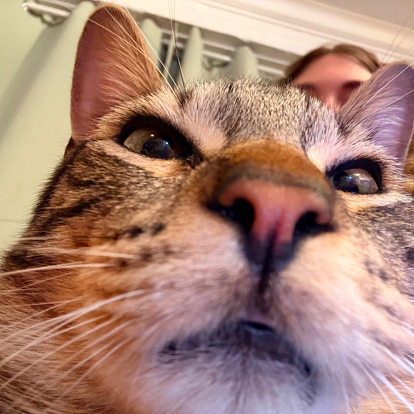 Cooper
