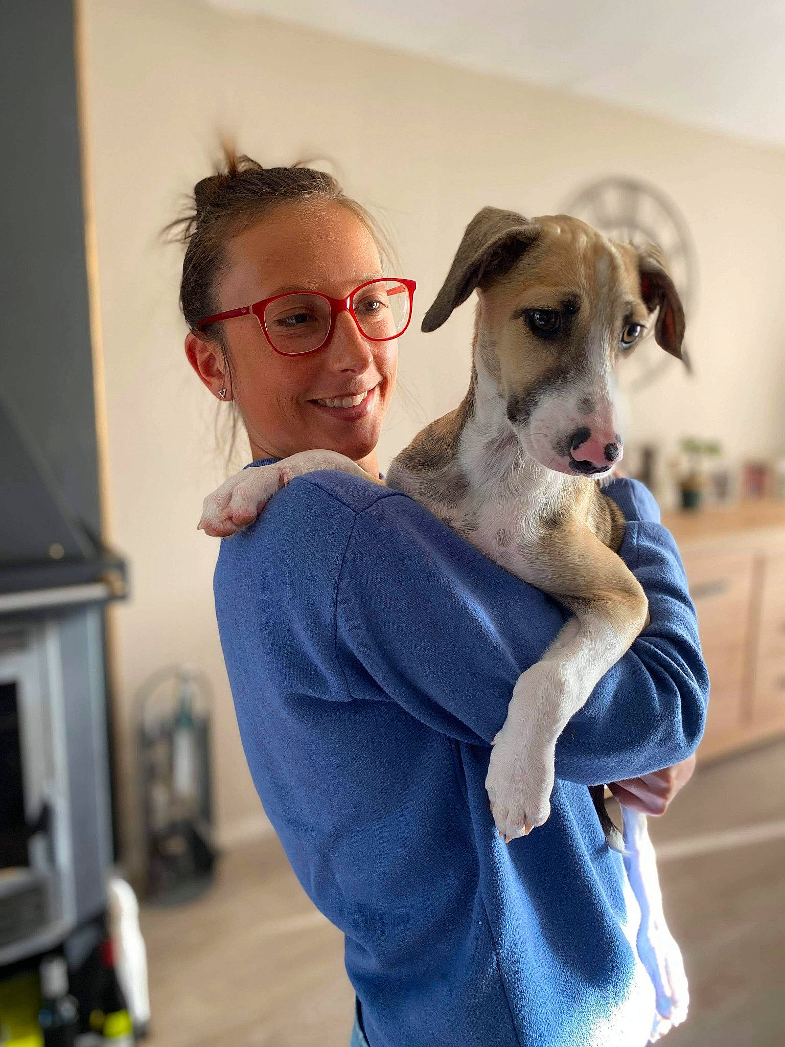 Mulan participe au concours pour gagner de l'argent avec cette photo : canidae, carnivore, companion_dog, dog, dog_breed, fawn, feist, hortaya_borzaya, italian_greyhound, jaw, lurcher, mammal, potcake_dog, sloughi, snout, whippet