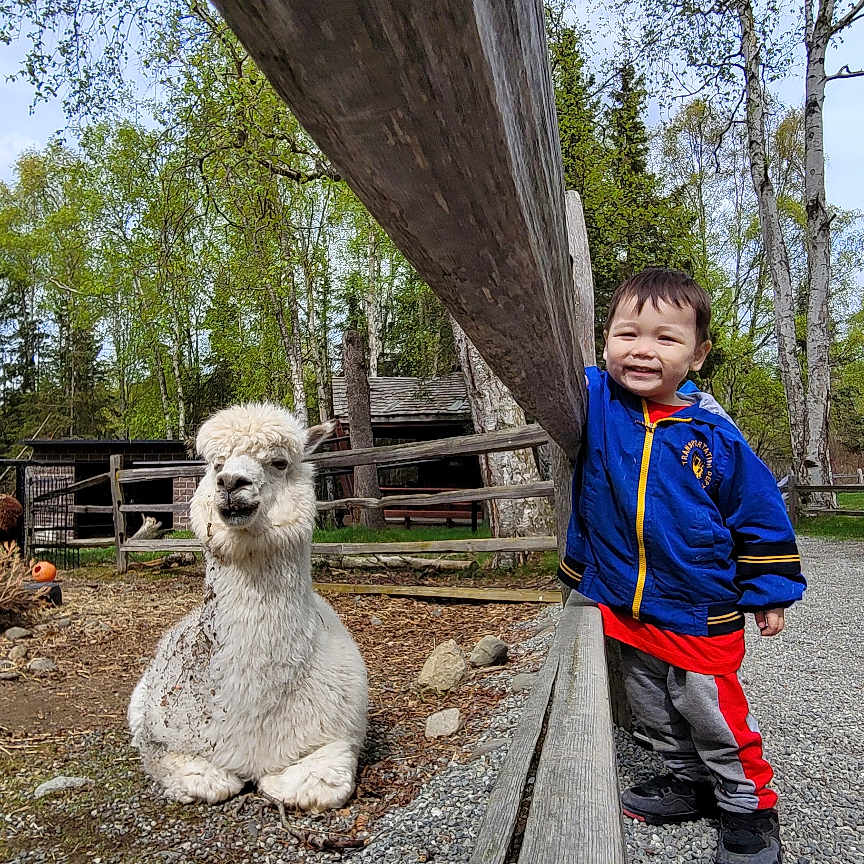 Damon is registered to the contest to win money with this photo: boy, child, clothing, face, footwear, gravel, head, male, pants, path, person, photography, plant, portrait, road, shoe, tree, vegetation, walkway, wood
