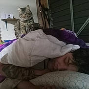 Lil Tracy is registered to the contest to win money with this photo: cat, tabby_cat, pet, sleeping_person, blanket, pillow, tattoo, indoor, bed, bedding, garage, shelf, collar, green_tag, whiskers, paws, face, human, cozy, sleep