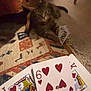 cat, tabby, playing_cards, cards, hand, rug, indoor, carpet, animal, pet, feline, game, table_leg, floor, pattern, striped, domestic_cat, relaxed, cute, home
