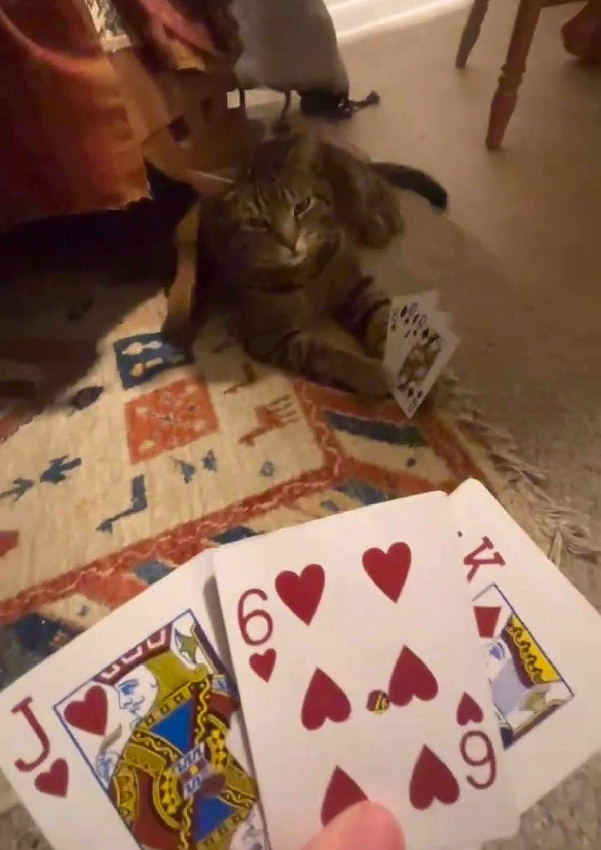 Benji