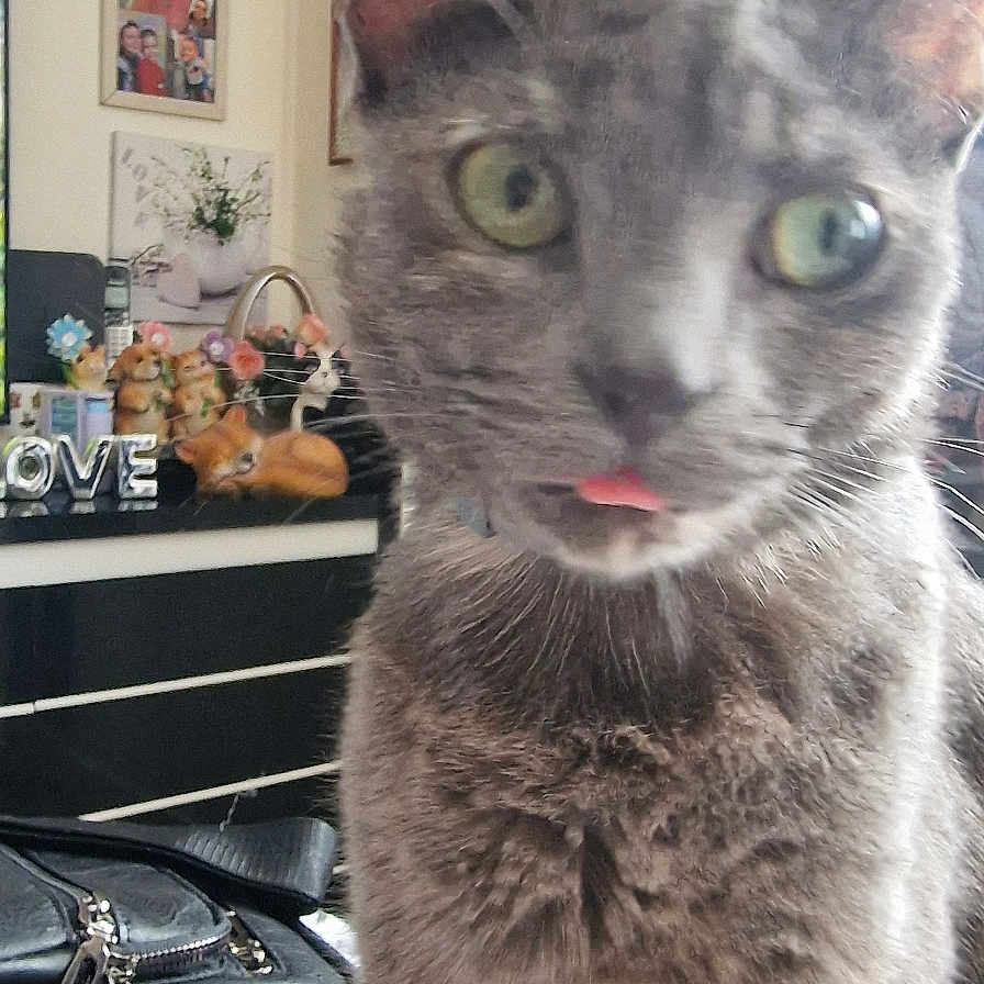 Benti