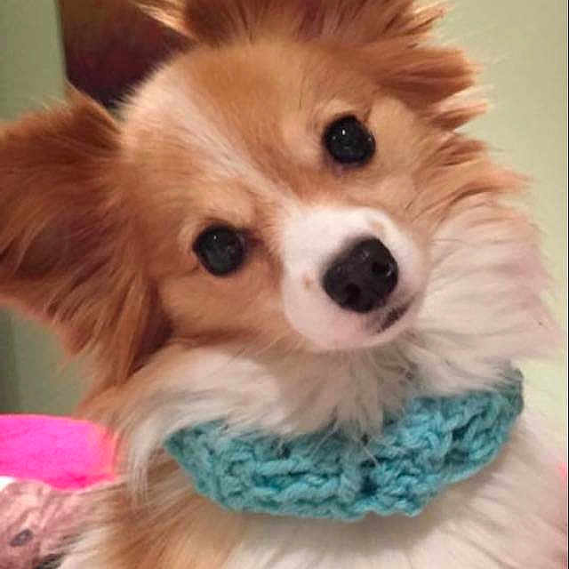 Gabbie joined the competition — help win amazing prizes!