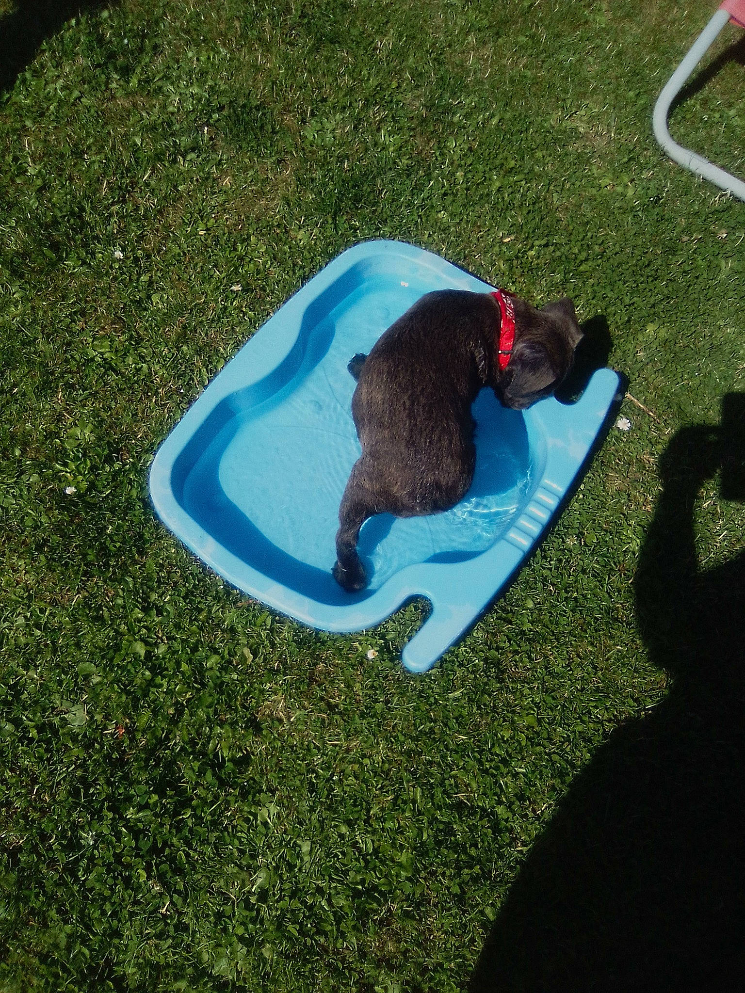 Spyke Jurdeczka a rejoint le concours — aidez-le/la à gagner de superbes lots ! artificial_turf, circle, electric_blue, flooring, fun, grass, grassland, groundcover, landscape, lawn, leisure, recreation, shadow, tints_and_shades, yard