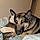 Tayson
