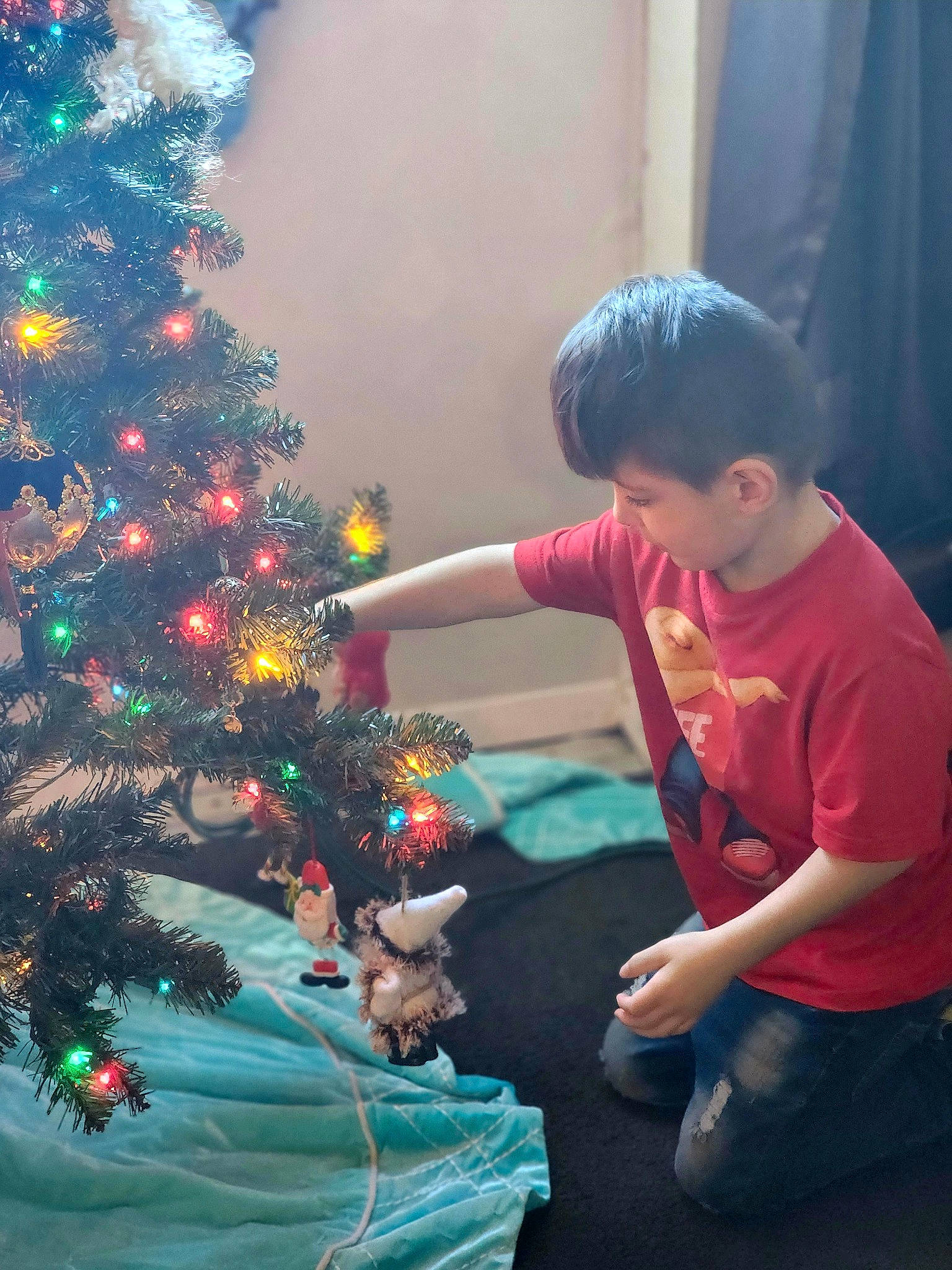 Tyler is registered to the contest to win money with this photo: christmas, christmas_decoration, christmas_eve, christmas_ornament, christmas_tree, conifer, event, evergreen, fun, green, happy, holiday, holiday_ornament, houseplant, interior_design, ornament, person, plant, shorts, tradition
