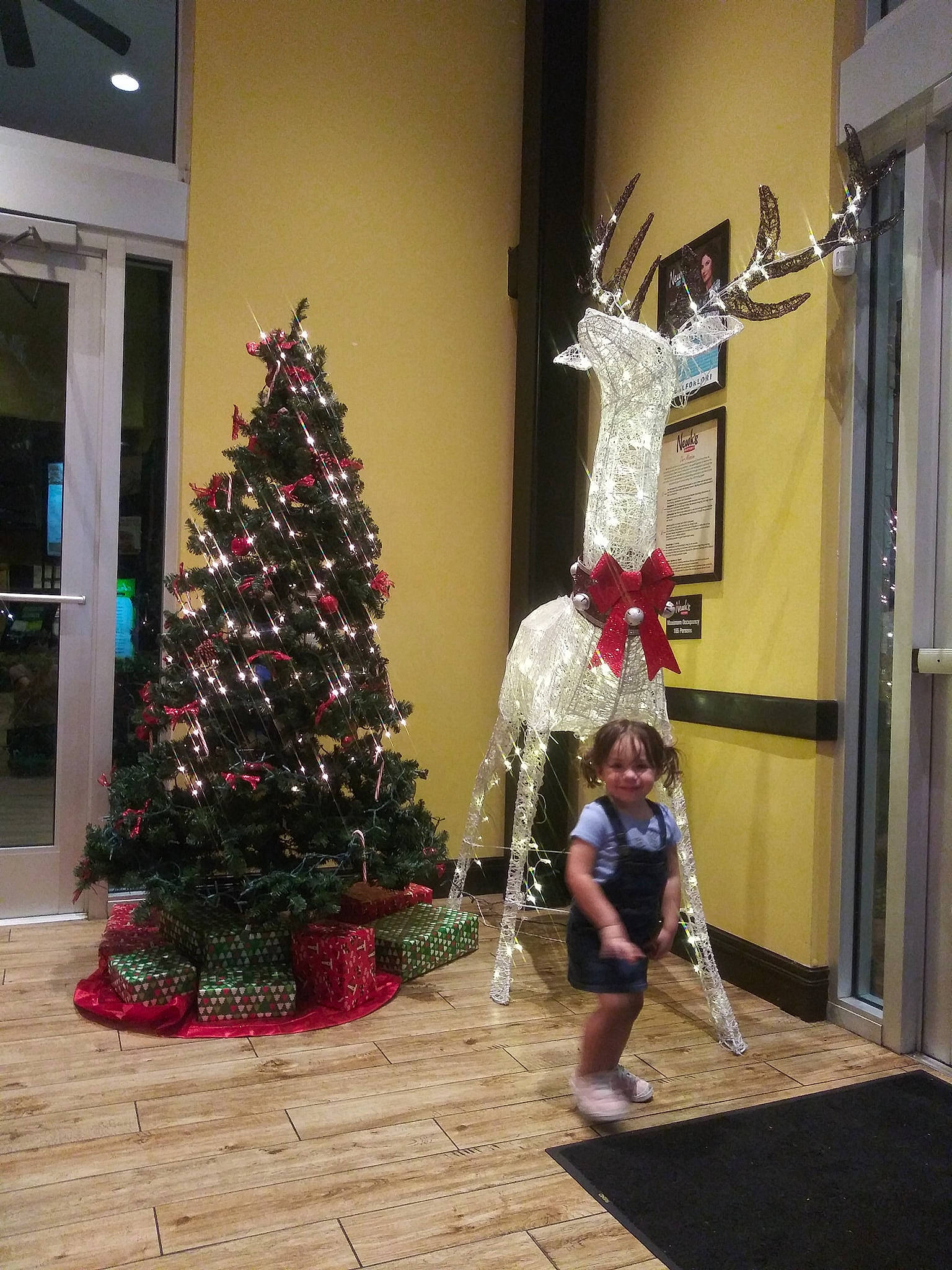 Emersyn Rose joined the competition — help win amazing prizes! christmas, christmas_decoration, christmas_eve, christmas_lights, christmas_ornament, christmas_tree, conifer, event, fir, holiday, holiday_ornament, home, interior_design, person, pine_family, plant, tradition, tree, woody_plant