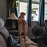 Addy joined the competition — help win amazing prizes! dog, couch, quilt, pillow, lamp, curtains, window, plant, hanging_plant, fan, american_flag, indoor, living_room, furniture, pet, canine, home_decor, daylight, back_view, relaxation