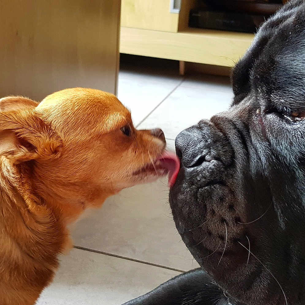 Hiro Et Kono