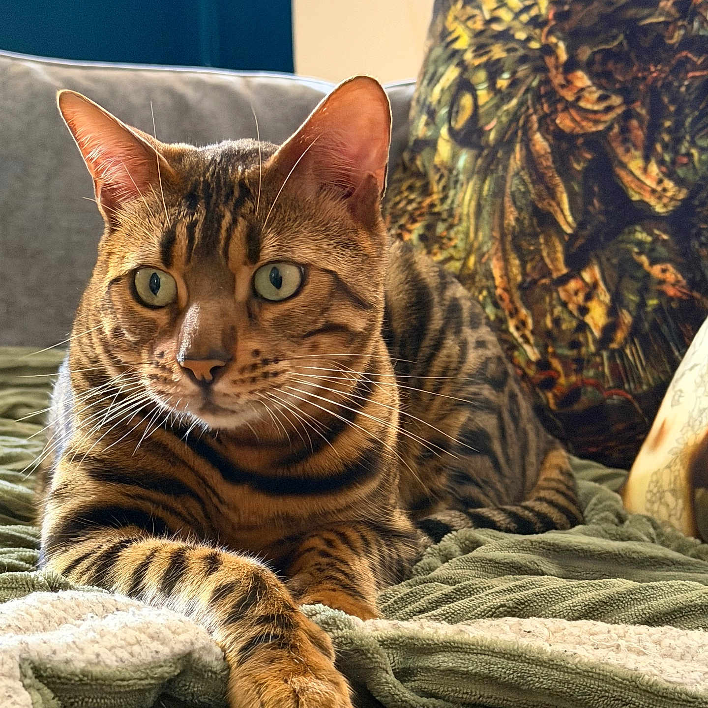 Hector