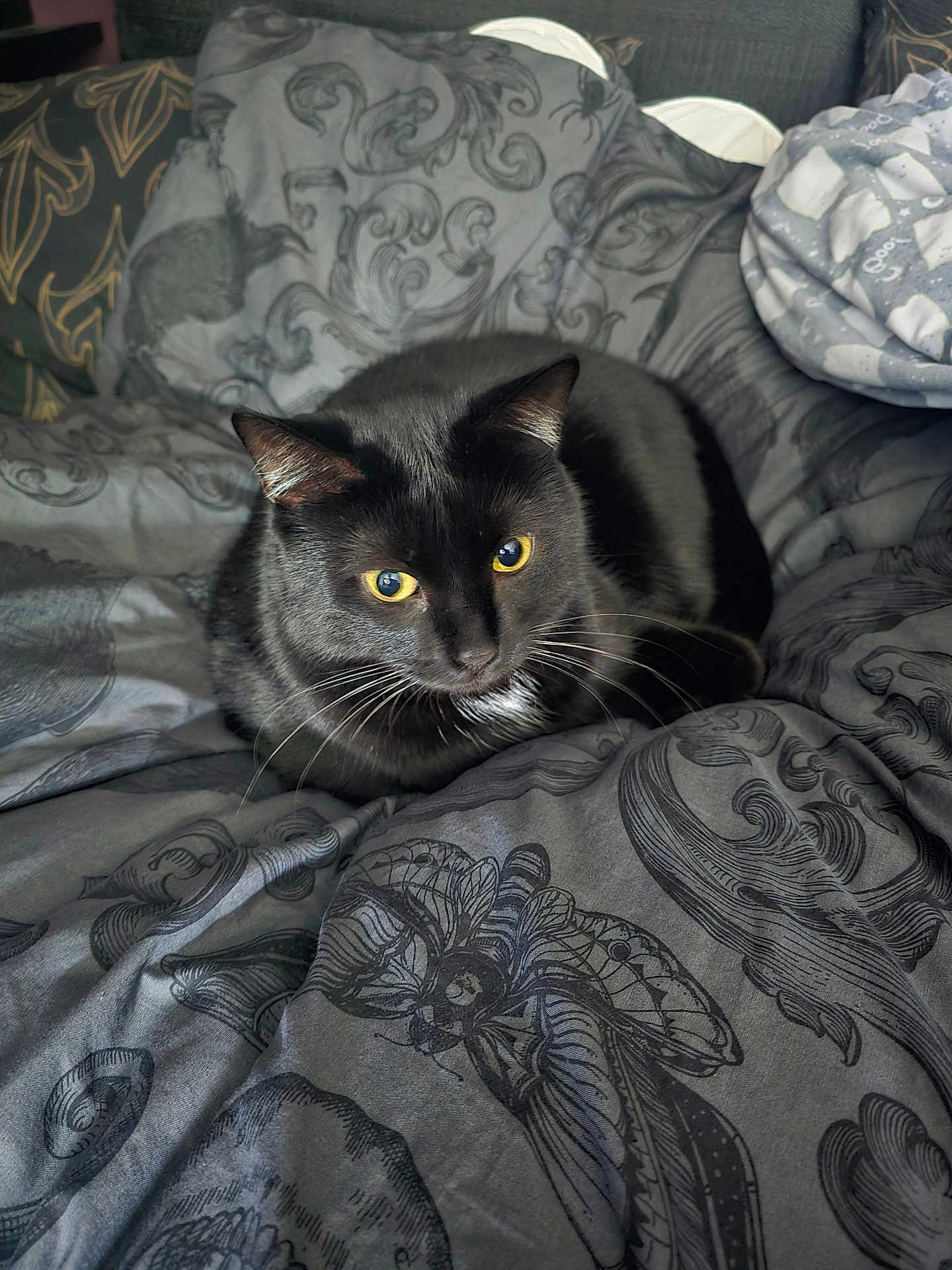 Salem