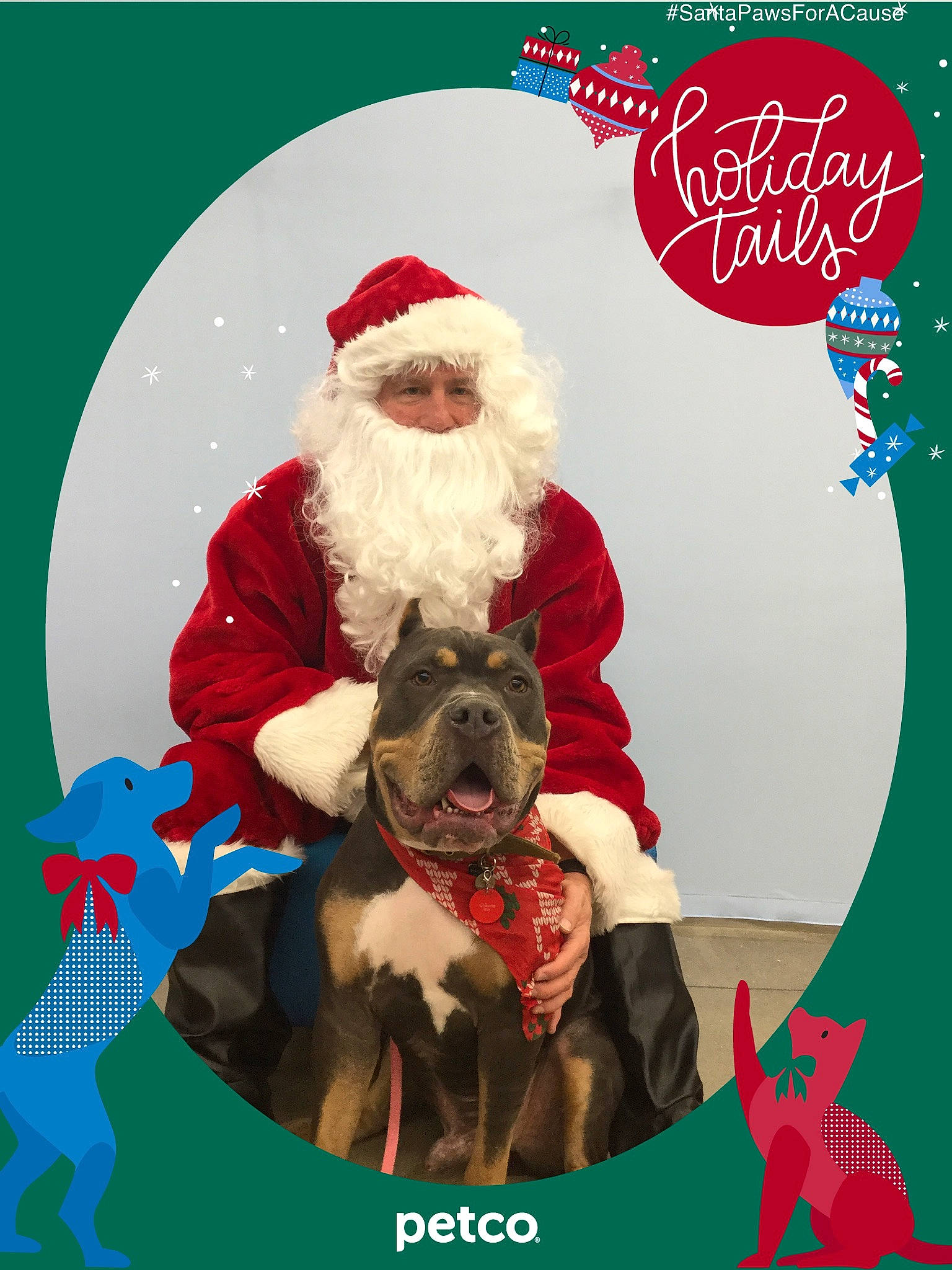 Waffles is registered to the contest to win money with this photo: canidae, christmas, christmas_eve, fictional_character, holiday, holiday_ornament, illustration, santa_claus, sporting_group