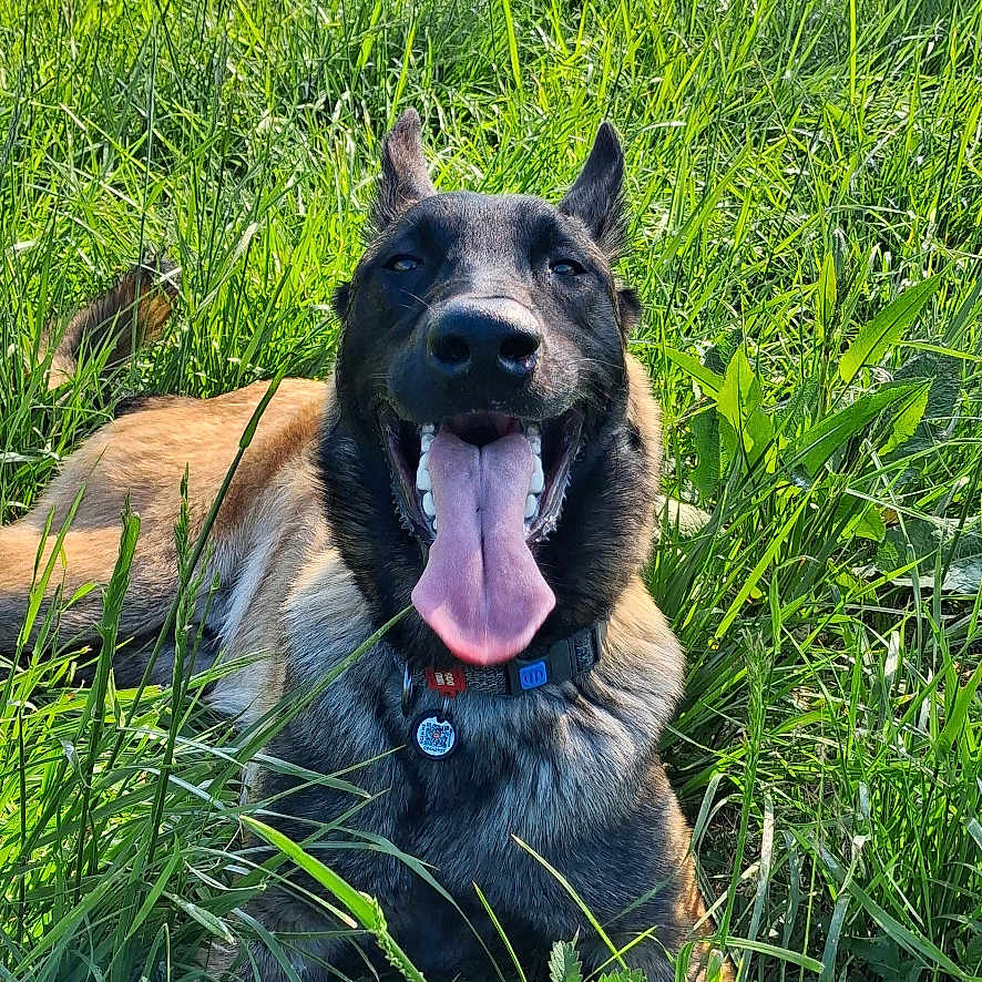 Atom