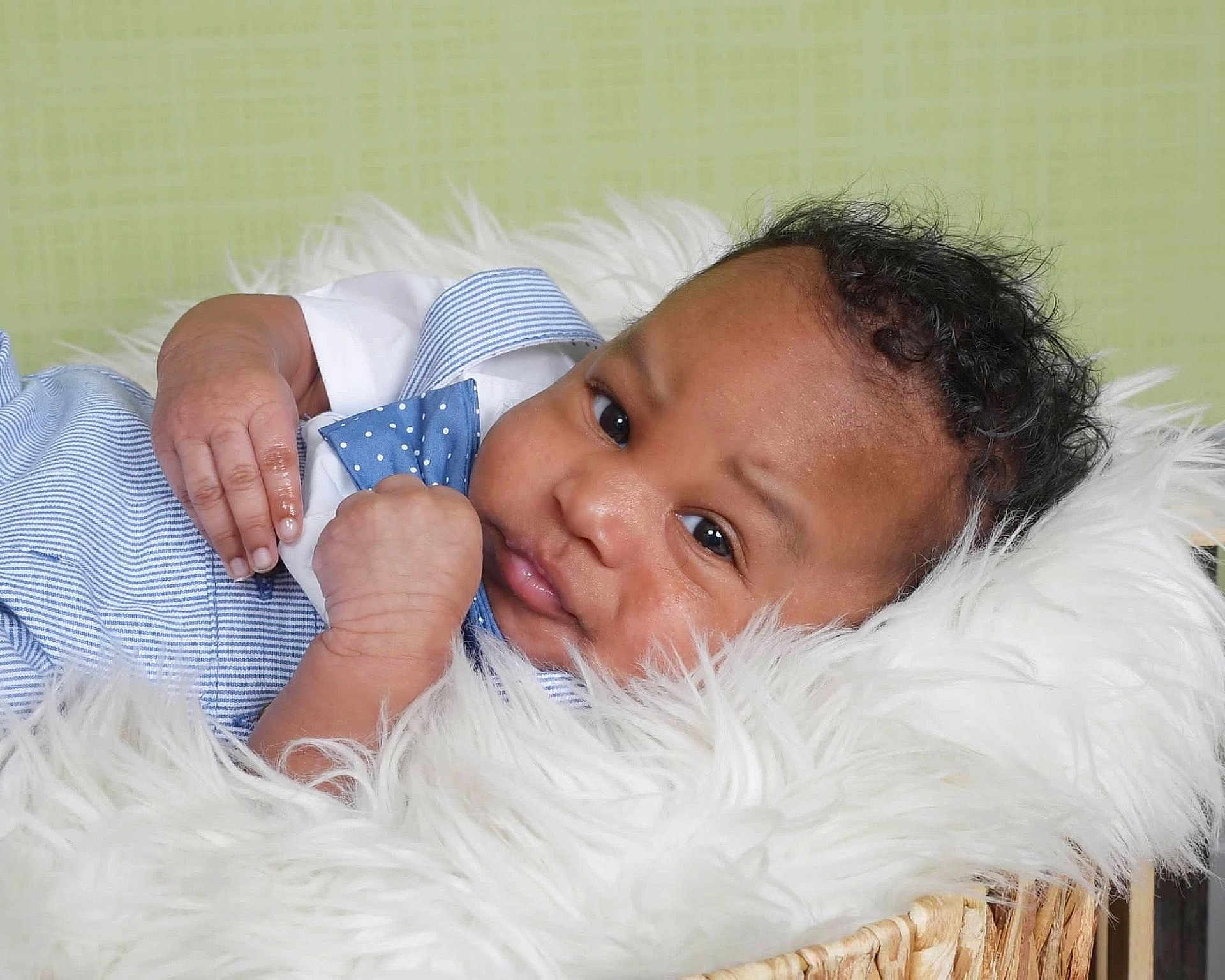 Karter joined the competition — help win amazing prizes! baby, infant, basket, fluffy_blanket, blue_bow_tie, striped_clothing, curly_hair, close_up, portrait, cute, resting, indoors, skin, hand, face, expression, soft_texture, newborn, lying_down, cozy