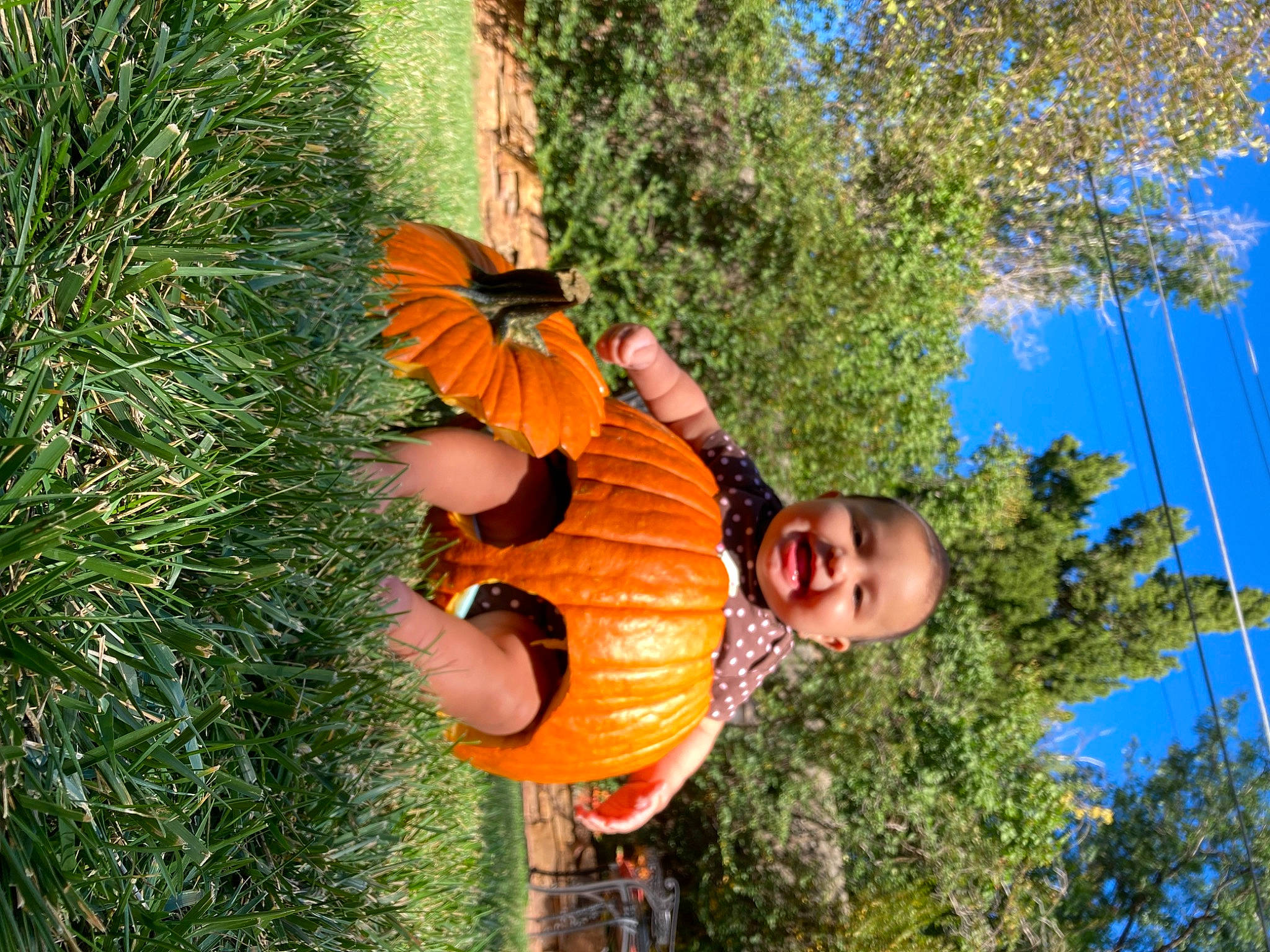 Serena joined the competition — help win amazing prizes! arthropod, botany, butterfly, calabaza, fun, grass, happy, insect, leaf, leisure, moths_and_butterflies, people_in_nature, person, plant, pollinator, sky, smile, spring, tree, winter_squash