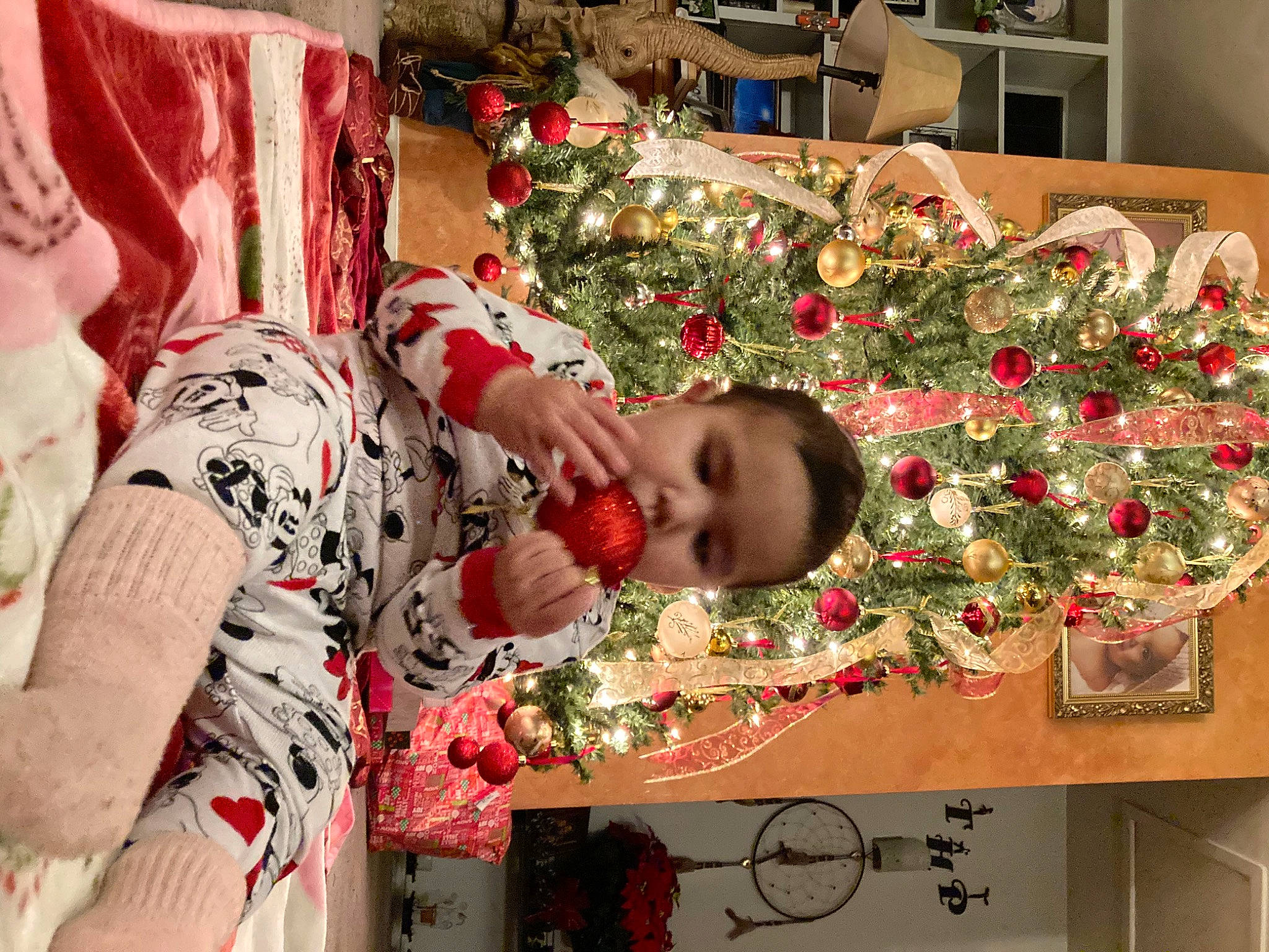 Serena is registered to the contest to win money with this photo: carmine, child, christmas, christmas_decoration, christmas_eve, christmas_ornament, christmas_tree, decoration, event, floral_design, happy, holiday, holiday_ornament, ornament, person, plant, red, room, toddler, tradition