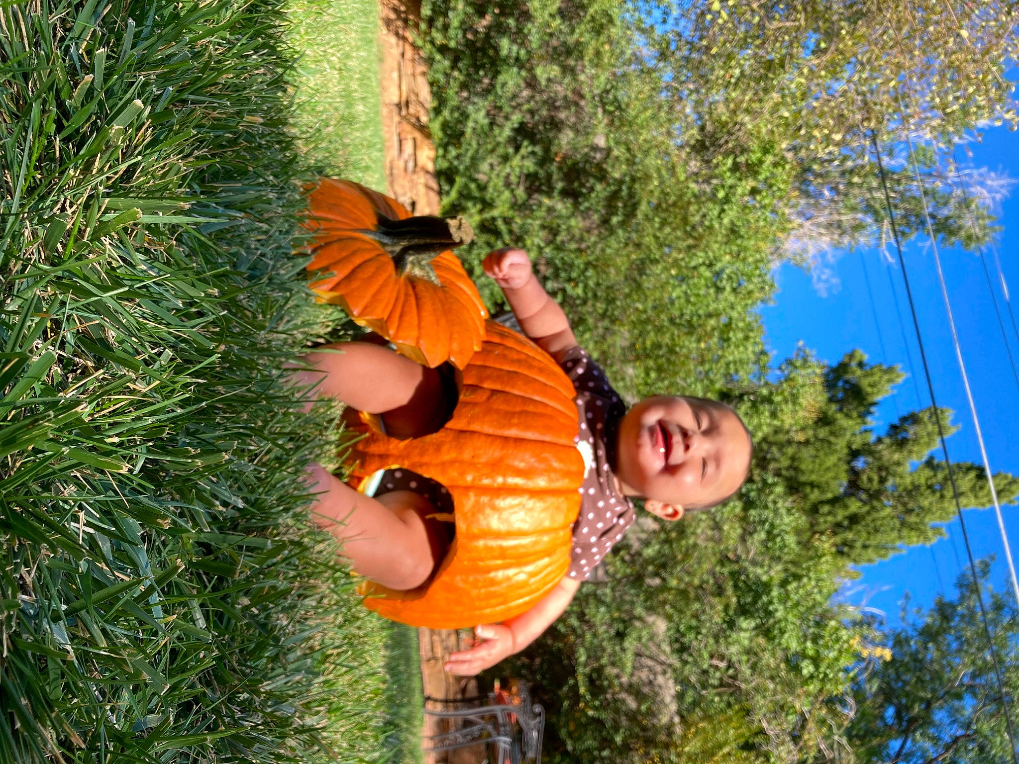 Serena joined the competition — help win amazing prizes! arthropod, biome, botany, butterfly, calabaza, fun, grass, happy, insect, leaf, leisure, moths_and_butterflies, people_in_nature, person, plant, pollinator, sky, smile, spring, tree