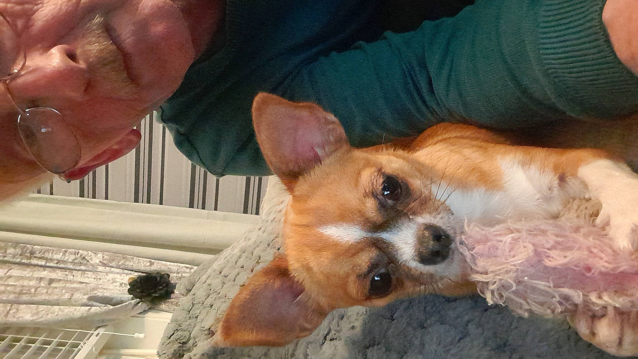 Princess And Chanelle