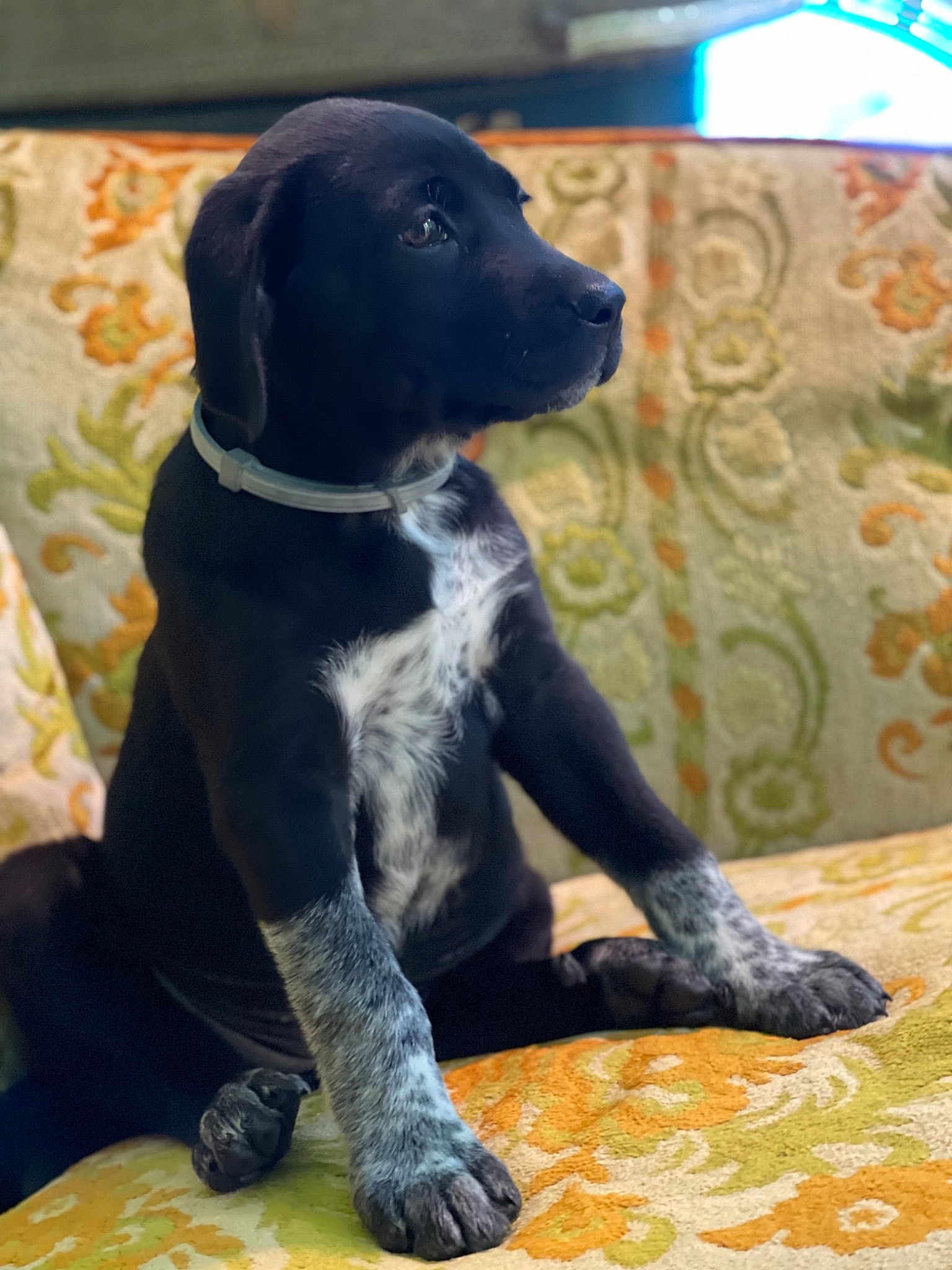 Millie