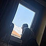 person, cat, window, curtain, sky, clouds, indoor, windowsill, standing, leaning, silhouette, daylight, building, roof, profile, casual_clothing, side_view, pet, curious, calm