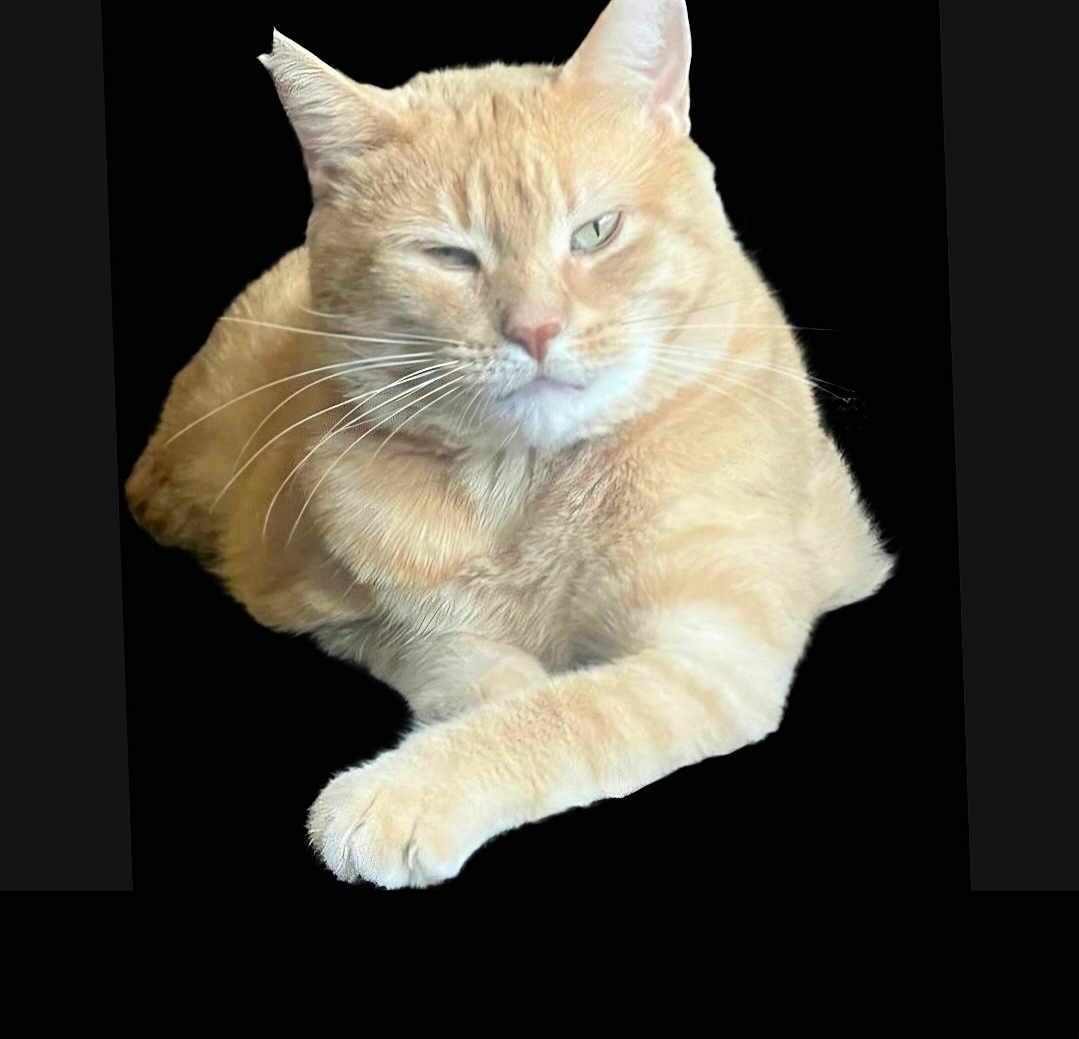 Walter