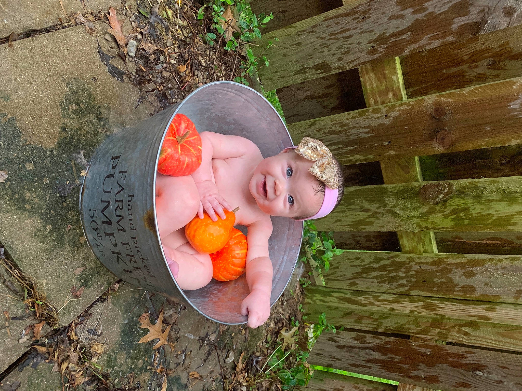 Annaleigha is registered to the contest to win money with this photo: calabaza, chair, doll, dress, eye, face, fruit, grass, happy, hat, headwear, lawn_ornament, leisure, people_in_nature, person, plant, pumpkin, toy, tree, vegetable