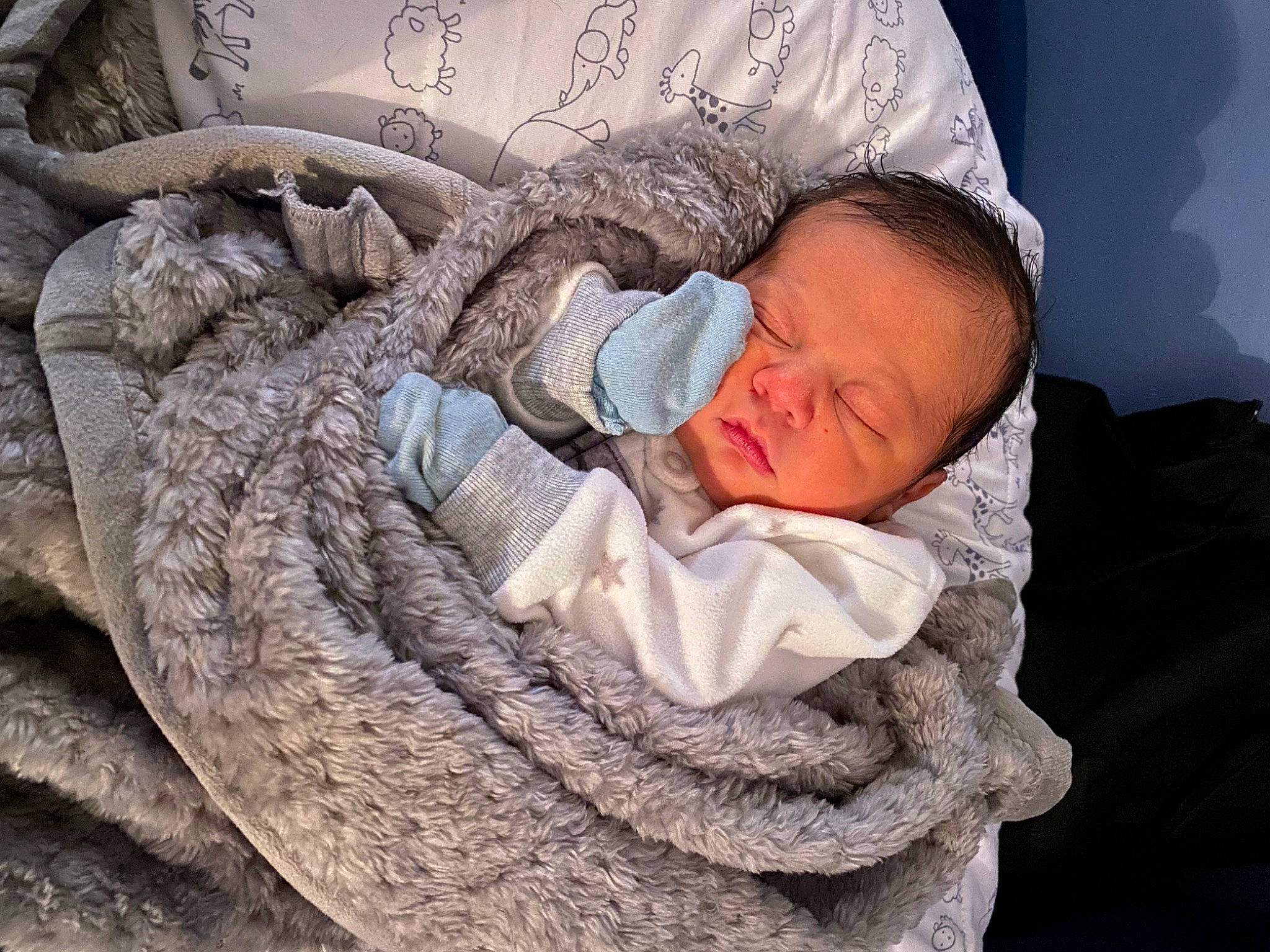 Valentino joined the competition — help win amazing prizes! baby, baby_sleeping, bedding, bedtime, child, comfort, fur, grass, headgear, linens, nap, pattern, person, sitting, skin, sleep, textile, thread, toddler, wood