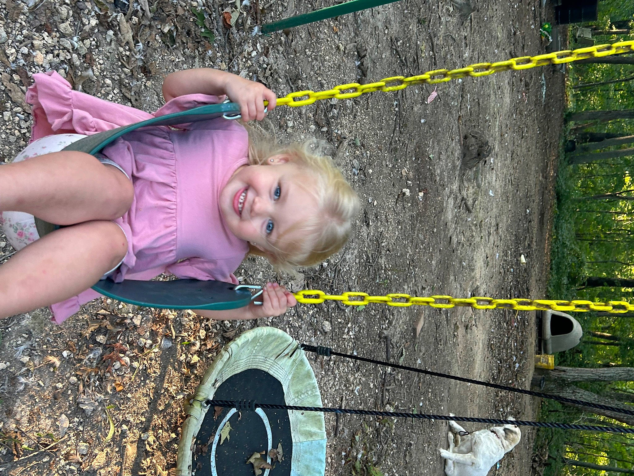 Kathryn is registered to the contest to win money with this photo: automotive_tire, child, fun, grass, happy, human_settlement, joy, leaf, leisure, outdoor_play_equipment, people_in_nature, person, plant, smile, soil, swing, tire, toddler, tree, wheel