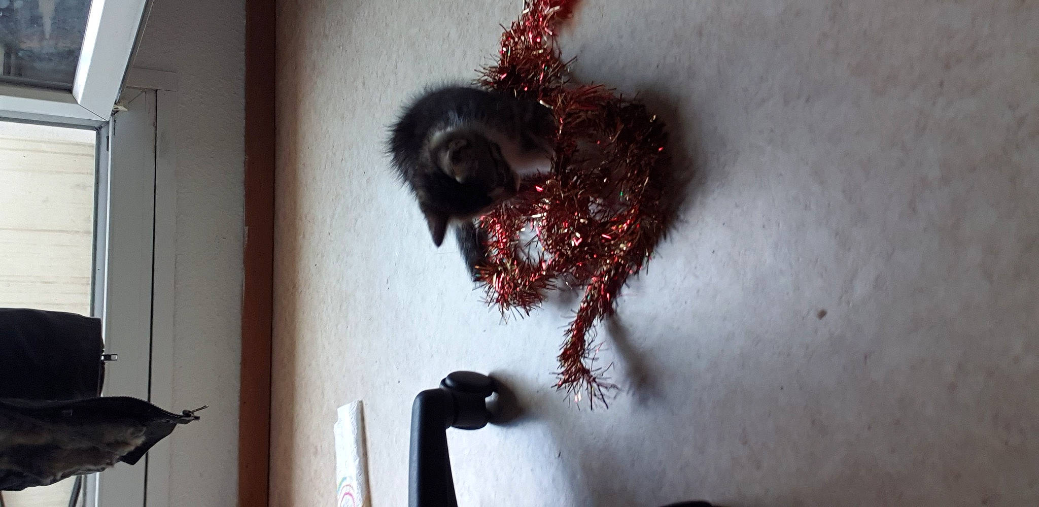 Loula a rejoint le concours — aidez-le/la à gagner de superbes lots ! art, fictional_character, flesh