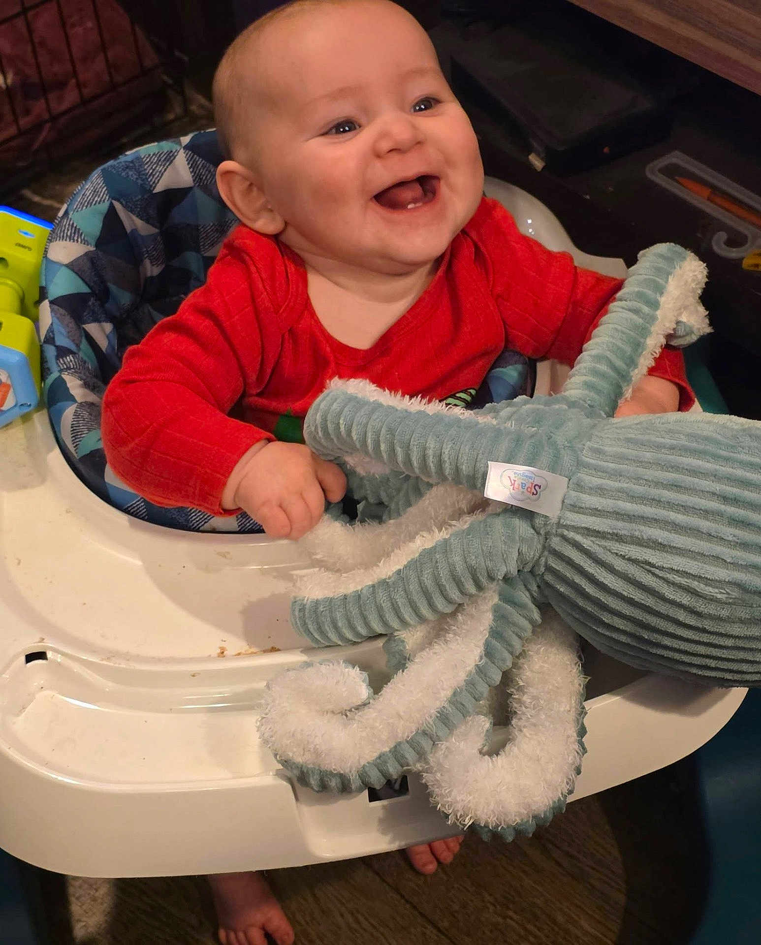 Aydan is registered to the contest to win money with this photo: baby, child, smiling, red_clothing, plush_toy, octopus_toy, baby_walker, happy, infant, indoors, seat, toy, feet, hands, floor, wood_floor, cute, cheerful, person, playtime