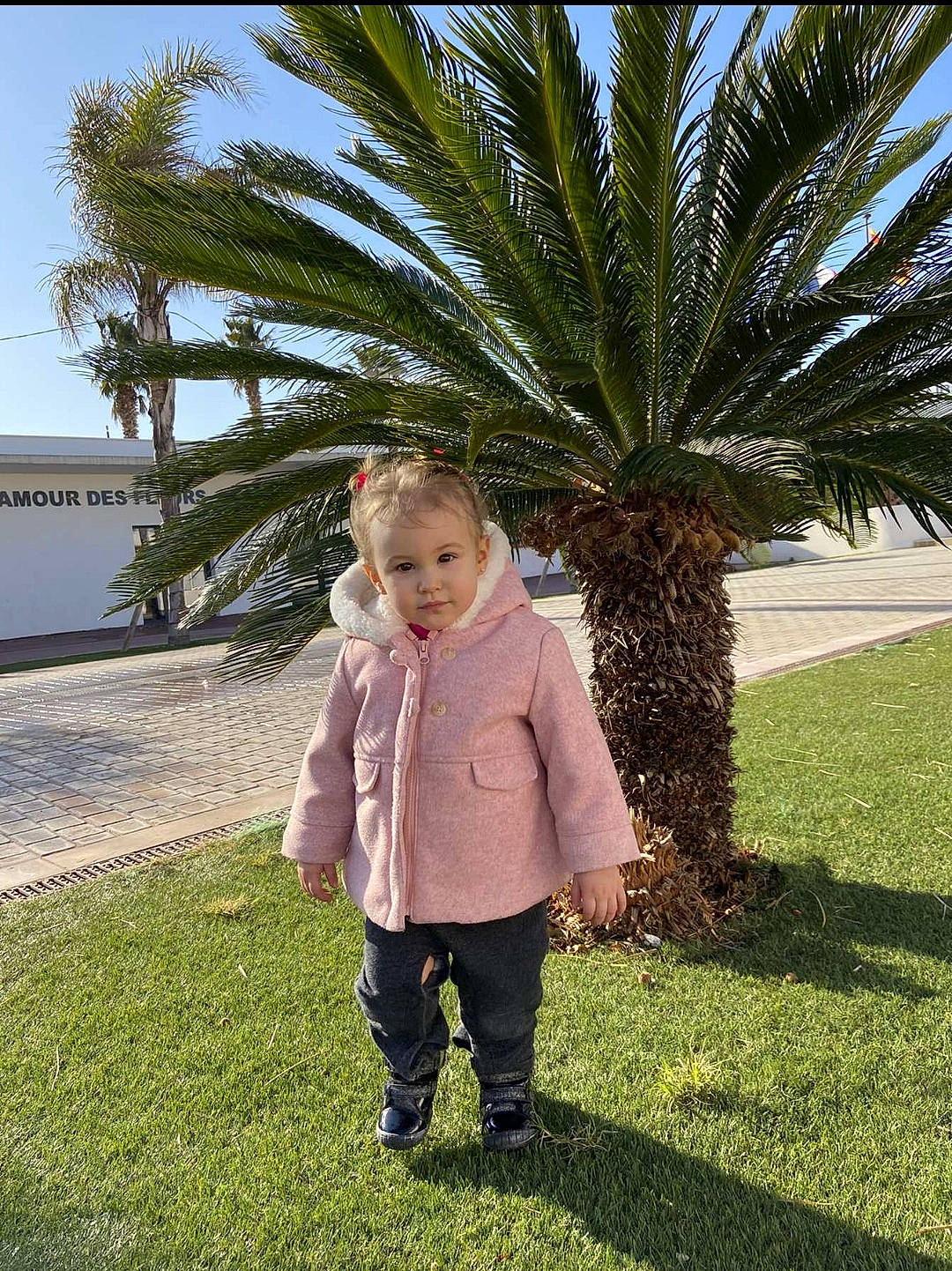Elona participe au concours pour gagner de l'argent avec cette photo : arecales, botany, fun, garden, grass, grass_family, happy, landscape, leaf, leisure, palm_tree, people_in_nature, person, plant, sky, terrestrial_plant, toddler, tree, vacation, walking