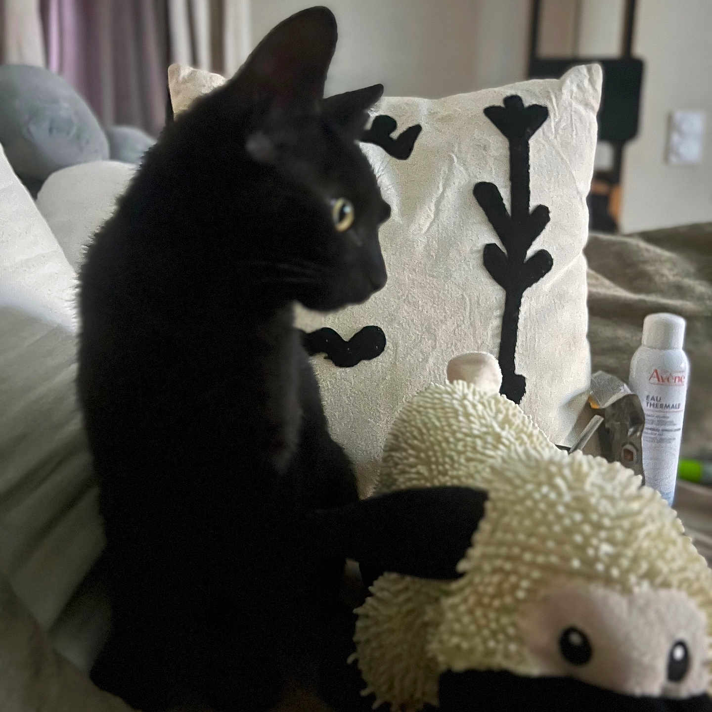 Figaro a rejoint le concours — aidez-le/la à gagner de superbes lots ! animal, black_cat, blurred_background, cat, couch, cozy, curtain, decor, domestic, feline, furniture, household_items, indoor, living_room, pet, pillow, relaxing, sheep_toy, soft_toy, stuffed_toy