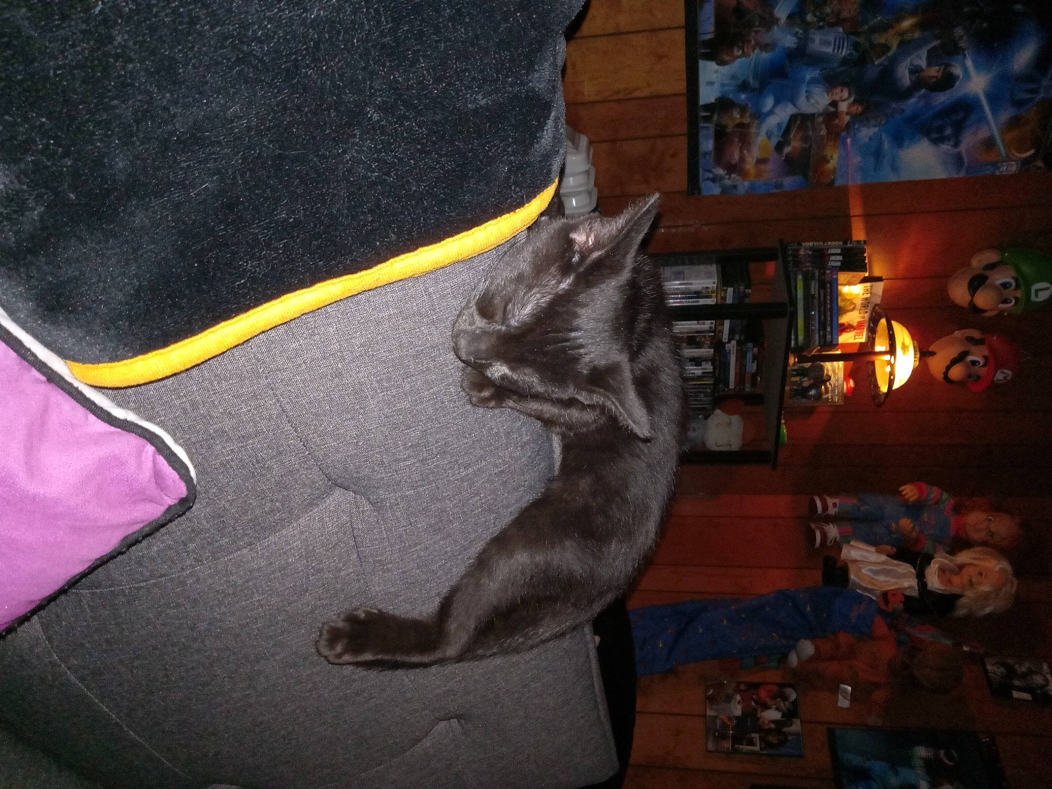 Buttons is registered to the contest to win money with this photo: art, bag, carmine, cg_artwork, darkness, felidae, font, fur, grey, leather, linens, pocket, small_to_medium_sized_cats, sportswear, tail, video_game_software, visual_arts, whiskers