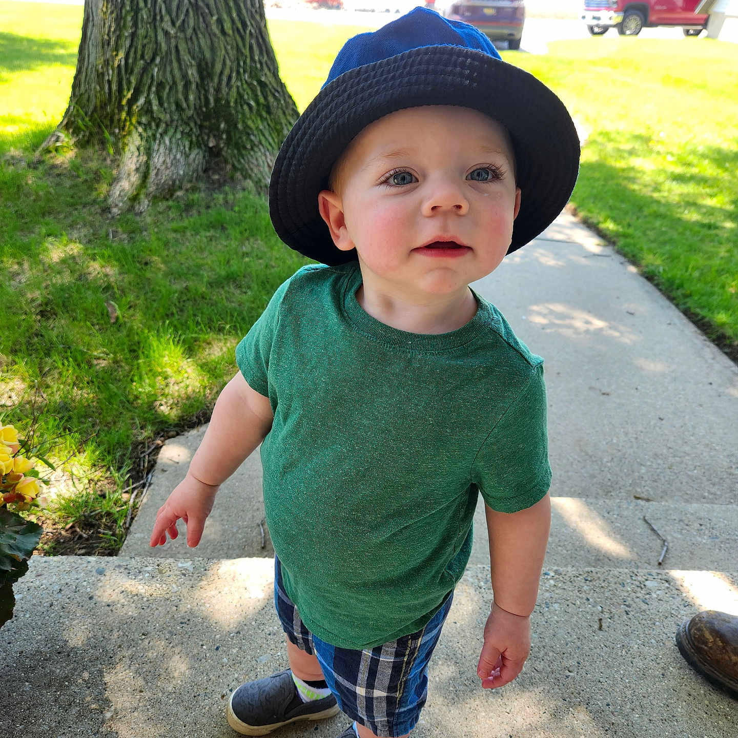 Elliot