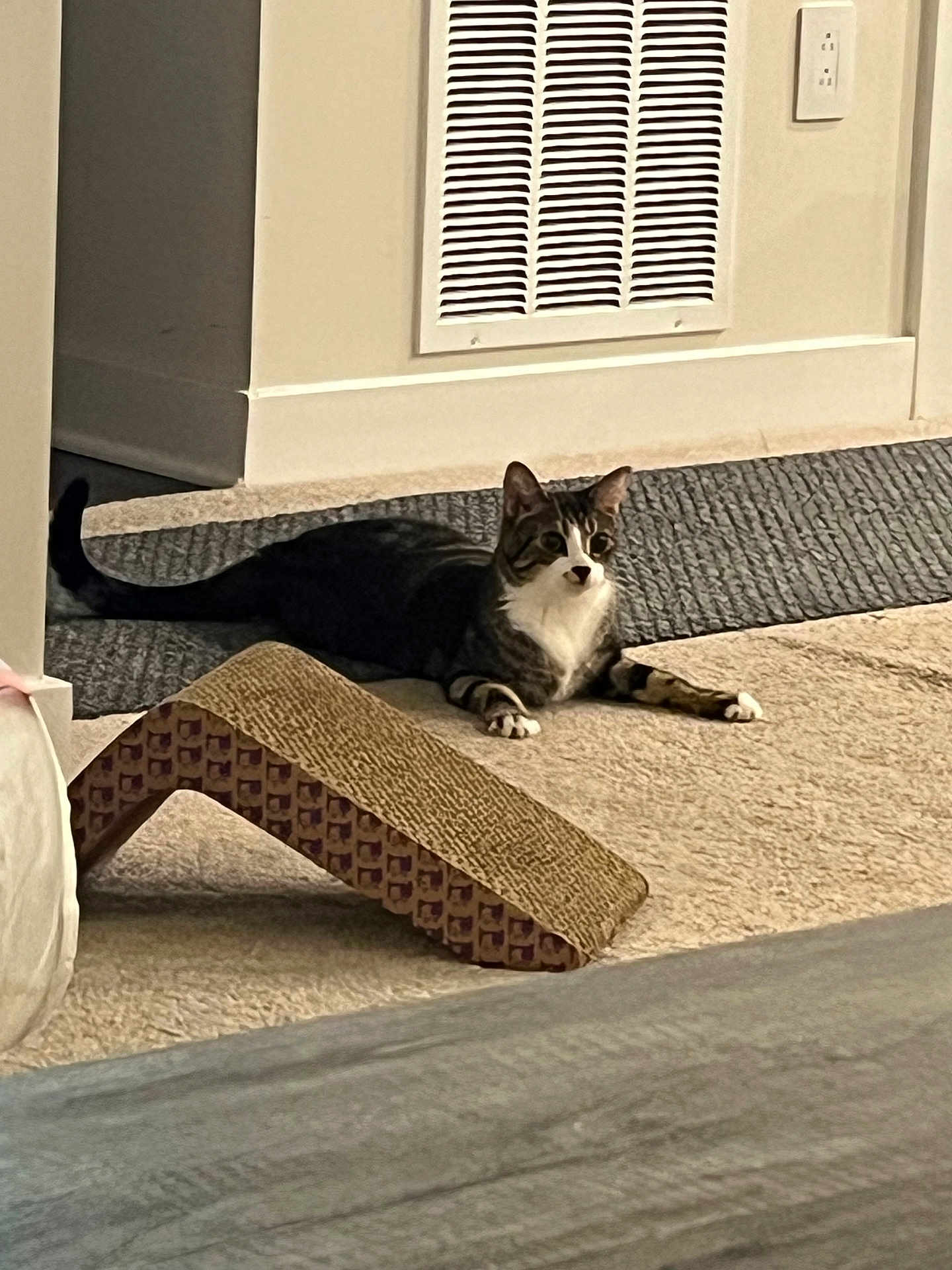 Nyla