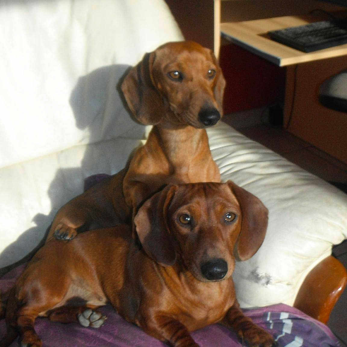 Tina Et Fifille