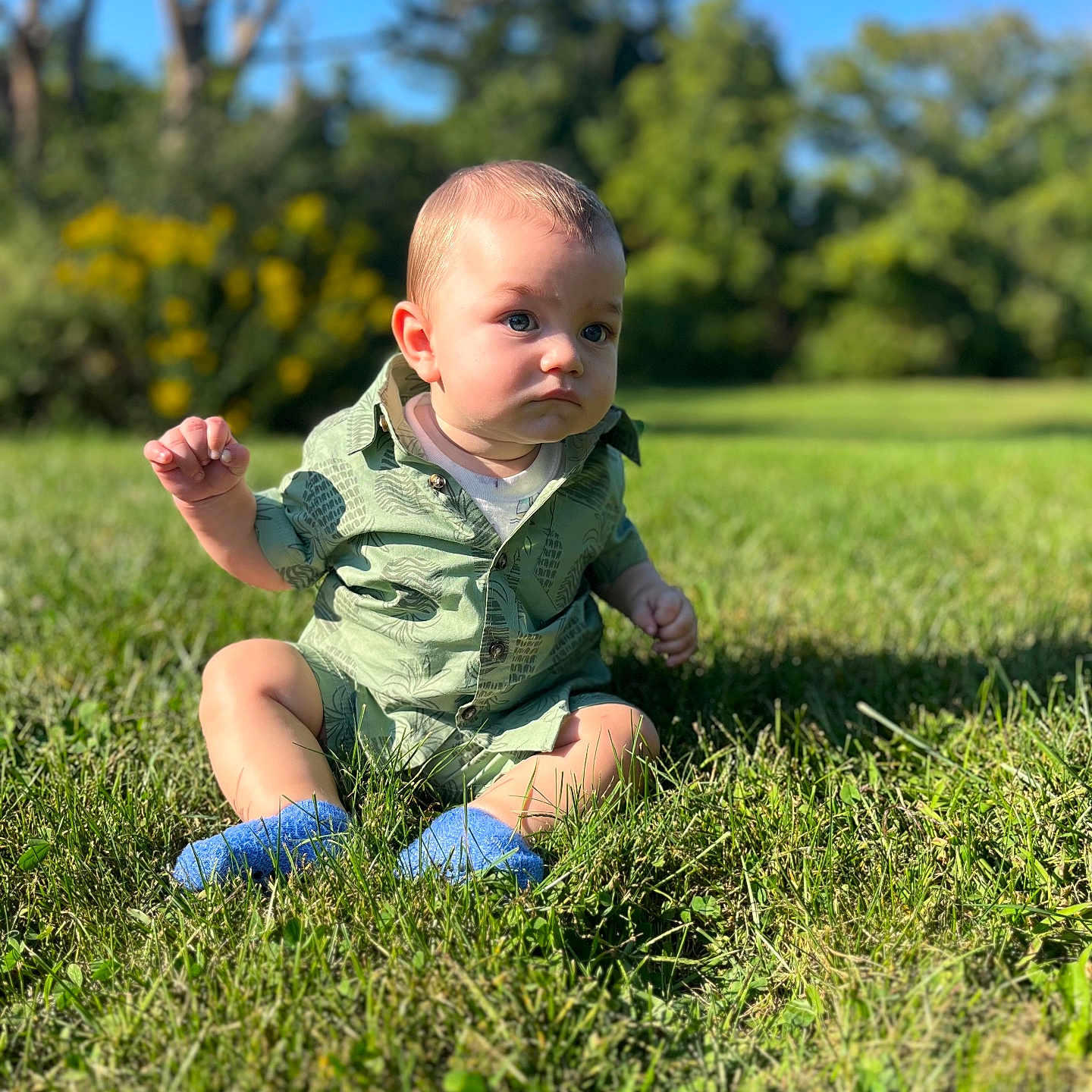 Leo is registered to the contest to win money with this photo: baby, bodypart, clothing, face, field, finger, grass, grassland, hand, head, hosiery, lawn, nature, outdoors, pants, person, photography, plant, portrait, sitting