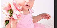 Olive is registered to the contest to win money with this photo: toddler, child, pink, flower, tutu, dress, portrait, cute, baby, soft, studio, smile, face, hand, innocence, fashion, light, background, happy, girl