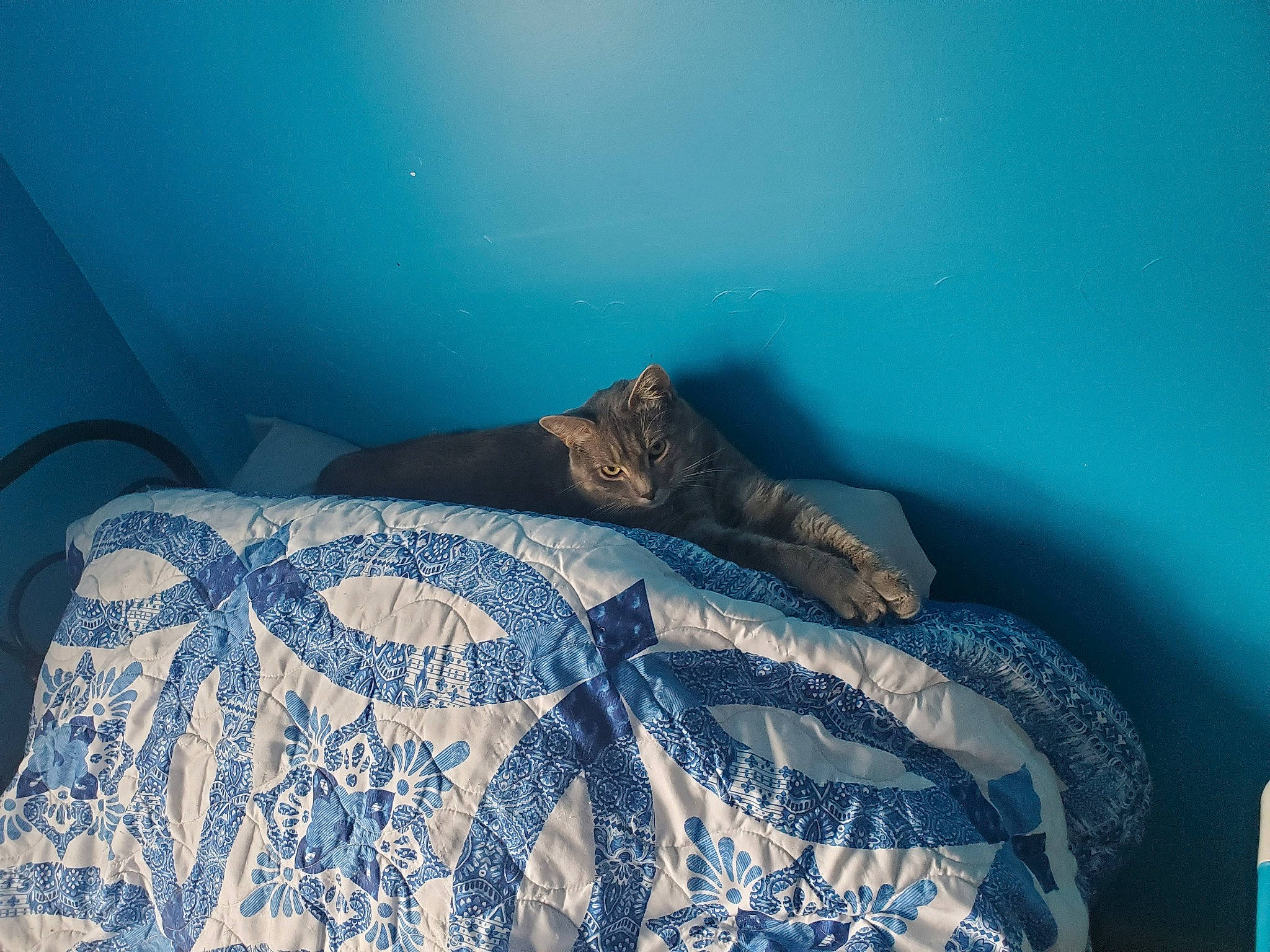 Giovanni is registered to the contest to win money with this photo: aqua, azure, bed, bed_sheet, bedding, bedroom, blue, comfort, creative_arts, duvet, electric_blue, interior_design, linens, pattern, pillow, room, textile, throw_pillow, tints_and_shades, wood