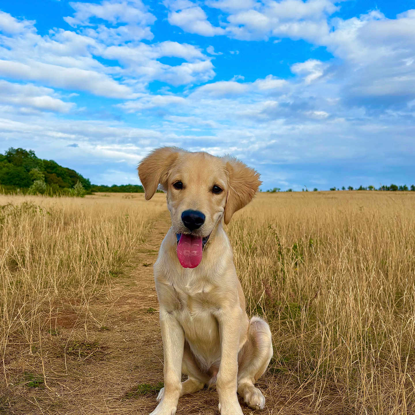 Ben