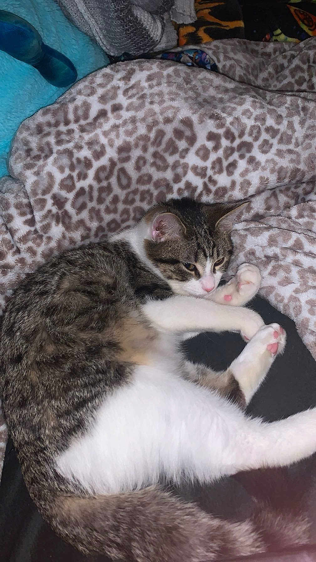 Binx