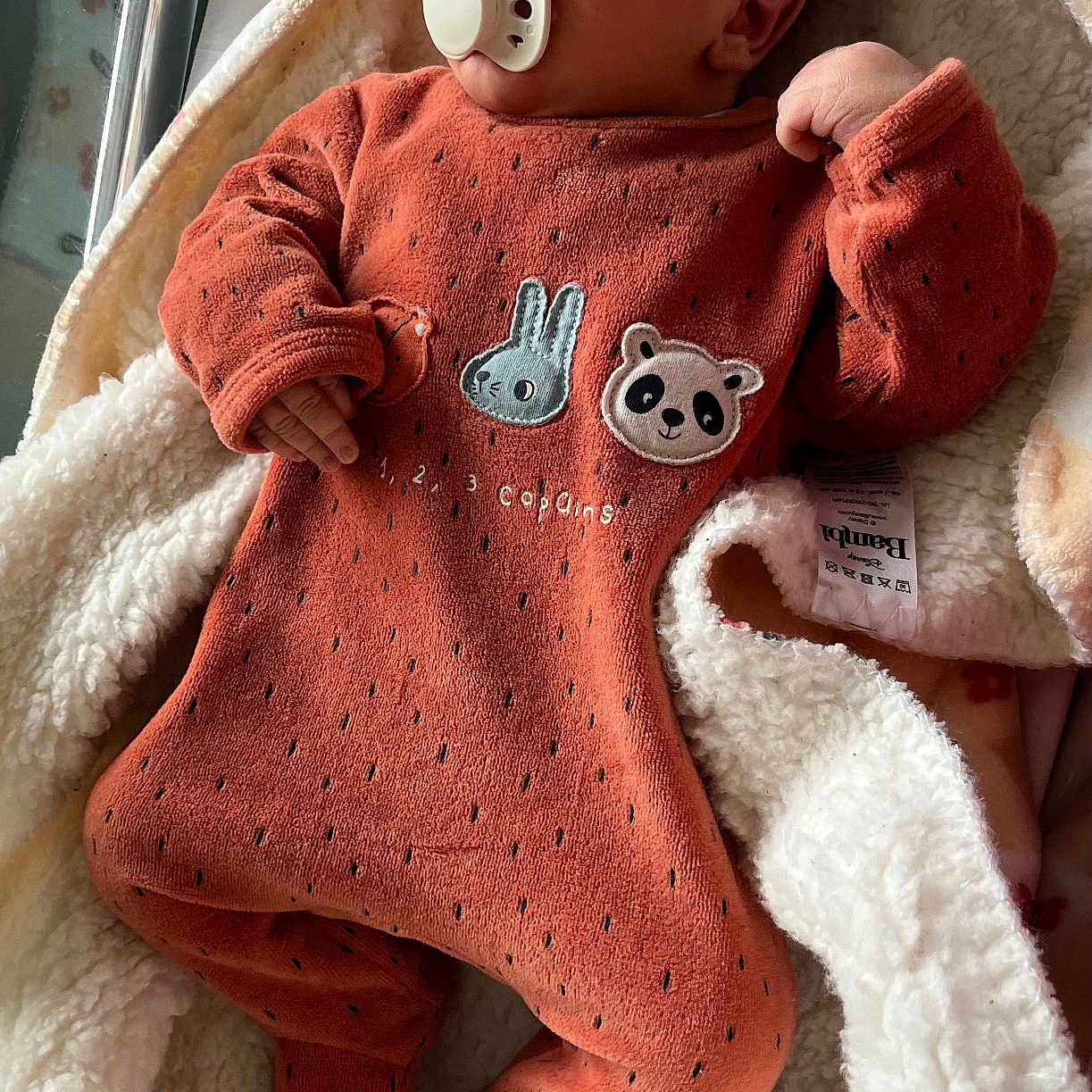 Gauthier participe au concours pour gagner de l'argent avec cette photo : baby, newborn, sleeping, pacifier, onesie, orange_clothing, blanket, soft_texture, cute, infant, cozy, indoor, child, portrait, sleep, rest, small_hands, cuteness, warm, comfort