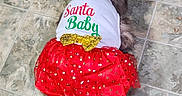 Daisy joined the competition — help win amazing prizes! animal, cat, clothing, cute, dress, festive, floor, fluffy, gold_bow, grey_cat, holiday_clothing, indoor, pet, red_skirt, rocking_chair, santa_baby, tail, text_on_clothing, tiled_floor, white_top