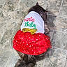 Daisy joined the competition — help win amazing prizes! cat, fluffy, grey_cat, floor, tiled_floor, clothing, dress, red_skirt, white_top, text_on_clothing, santa_baby, gold_bow, pet, indoor, rocking_chair, tail, animal, holiday_clothing, festive, cute