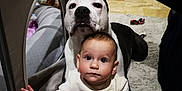 Juju a rejoint le concours — aidez-le/la à gagner de superbes lots ! baby, child, dog, indoor, carpet, pajamas, reindeer, toy, face, pet, person, floor, furniture, blanket, playpen, animal, cute, sitting, cozy, friendship