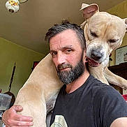 Lucky participe au concours pour gagner de l'argent avec cette photo : adult, animal, beard, canine, chandelier, clothing, dog, face, head, indoors, lamp, male, man, person, pet, photobombing, photography, portrait, selfie, t_shirt