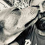 Lucky a rejoint le concours — aidez-le/la à gagner de superbes lots ! accessories, adult, animal, beard, canine, clothing, dog, face, glasses, head, hound, male, man, person, pet, photography, portrait, puppy, sleeping, t_shirt